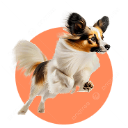 Быстрота и точность диагноза!