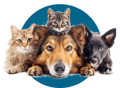 Опытный персонал