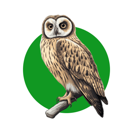 Эффективность лечения